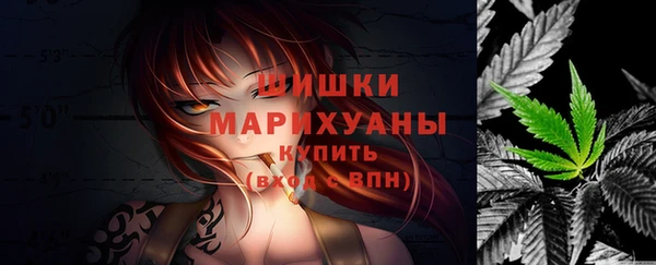 стафф Богородск