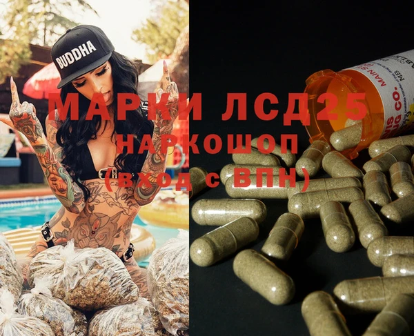 mdpv Богородицк