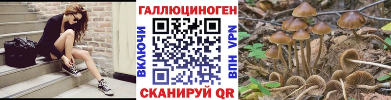 это Telegram  где найти   Нижневартовск  Псилоцибиновые грибы MAGIC MUSHROOMS 