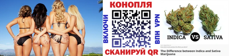 Марихуана OG Kush Нижневартовск